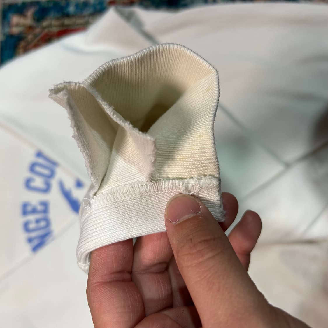 [L] 체스윅X워너브로스 로드러너 스웻셔츠 맨투맨 상품이미지6