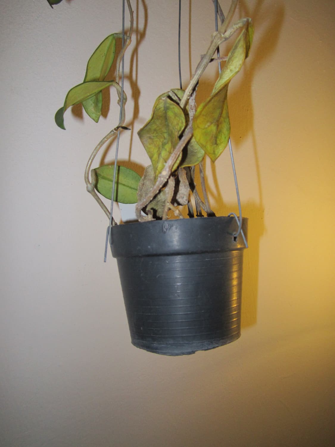 캐논 PowerShot A2200 / 가볍게 쓰기 좋은 클래식 감성 디카 상품이미지6