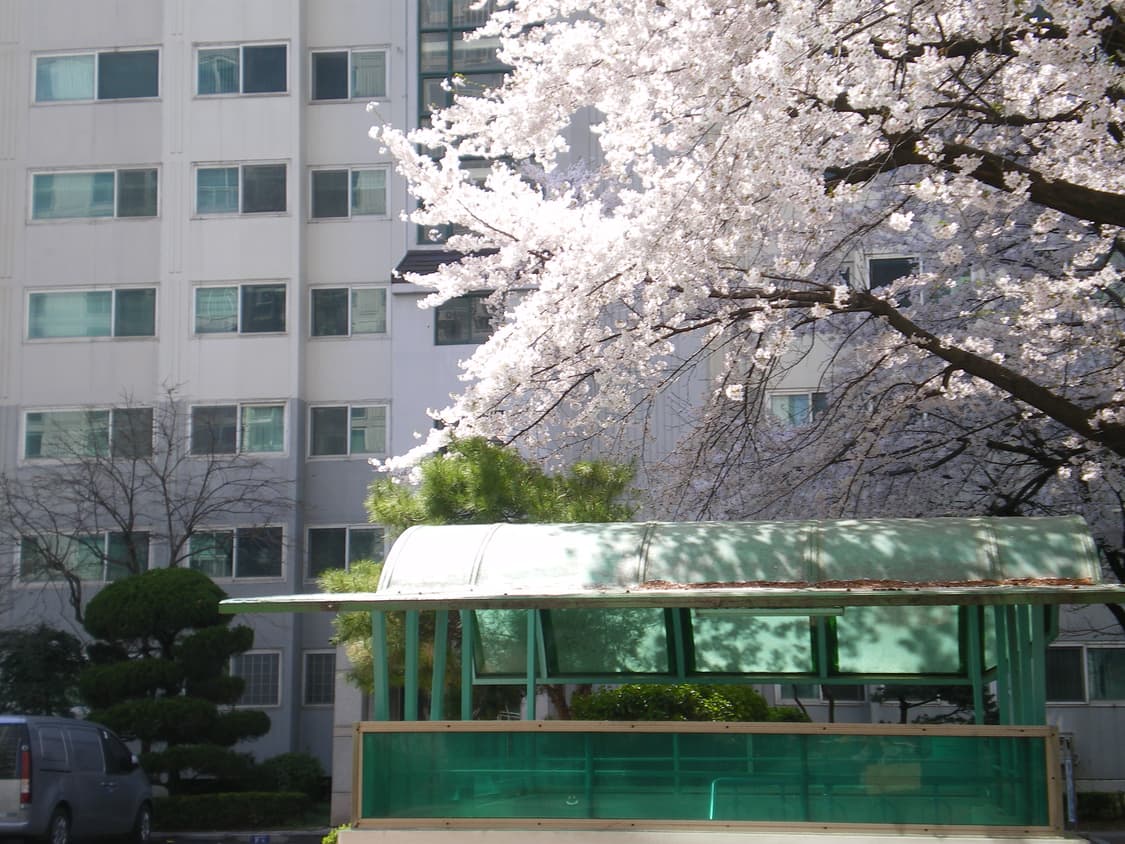 A급🍎 Canon G9랑 비슷! Pentax Optio V10 상품이미지6