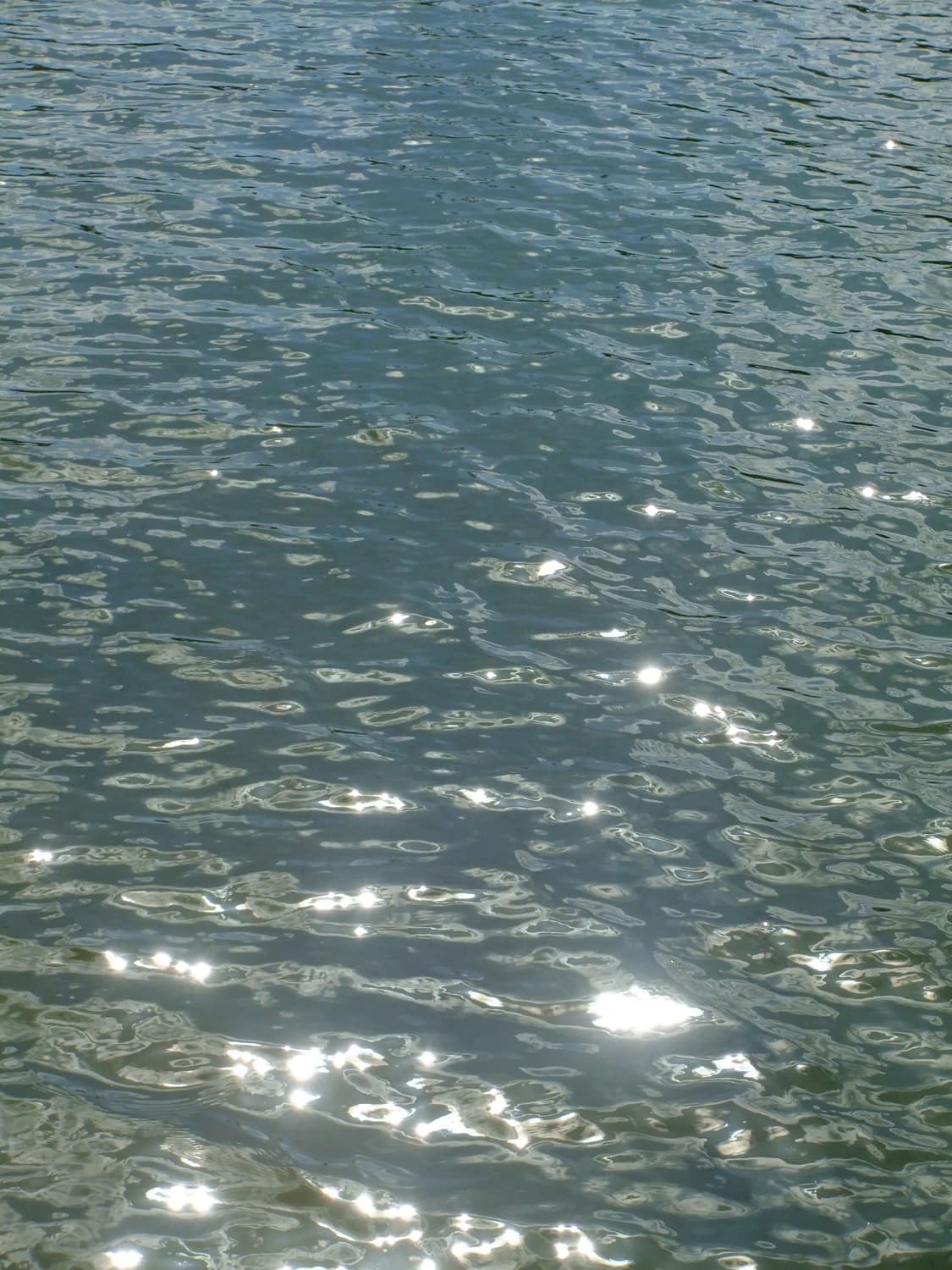 작례⭕️)후지필름 파인픽스f70exr 실버 원희 디카 상품이미지7