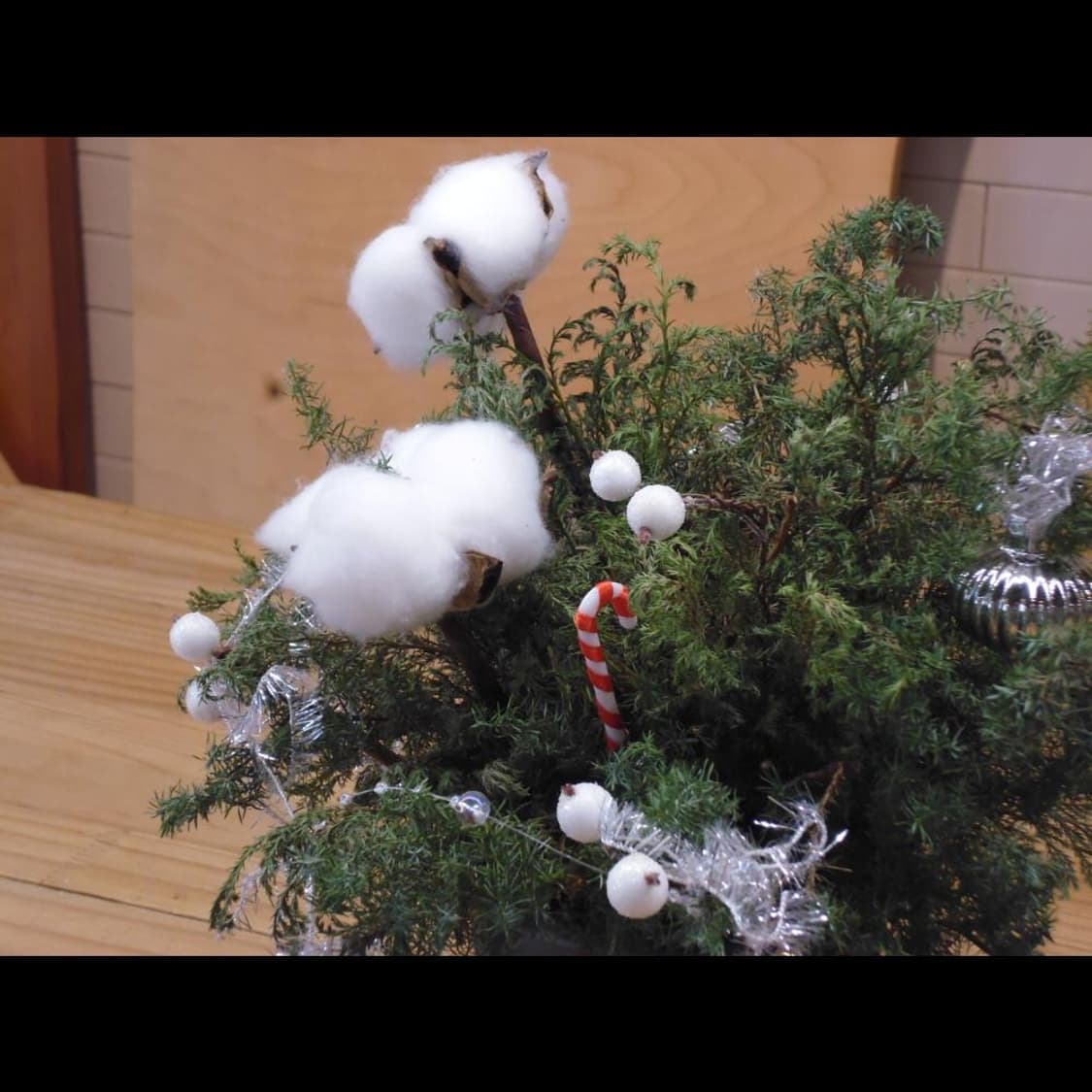 작례⭕️ 파나소닉  루믹스 DMC-XS1  핑크🌸 (품번_BB870) 상품이미지4