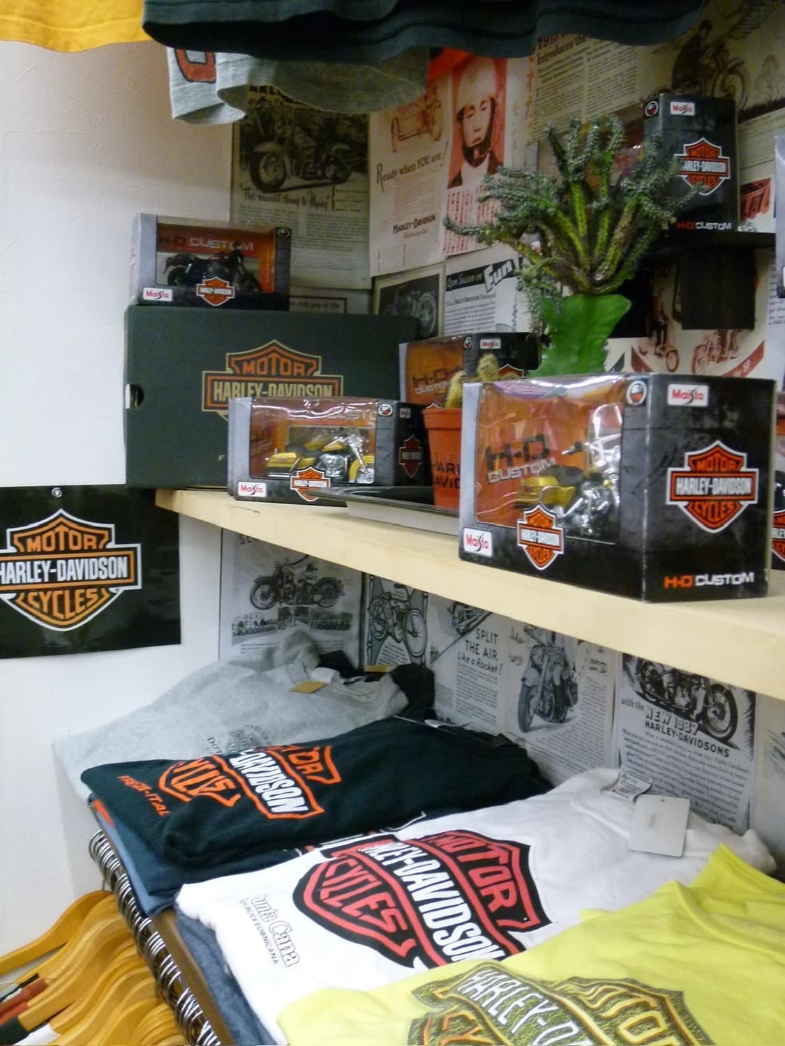 희귀 ⚡️ 파나소닉 루믹스 DMC-FX80 빈티지디카 디카 상품이미지5