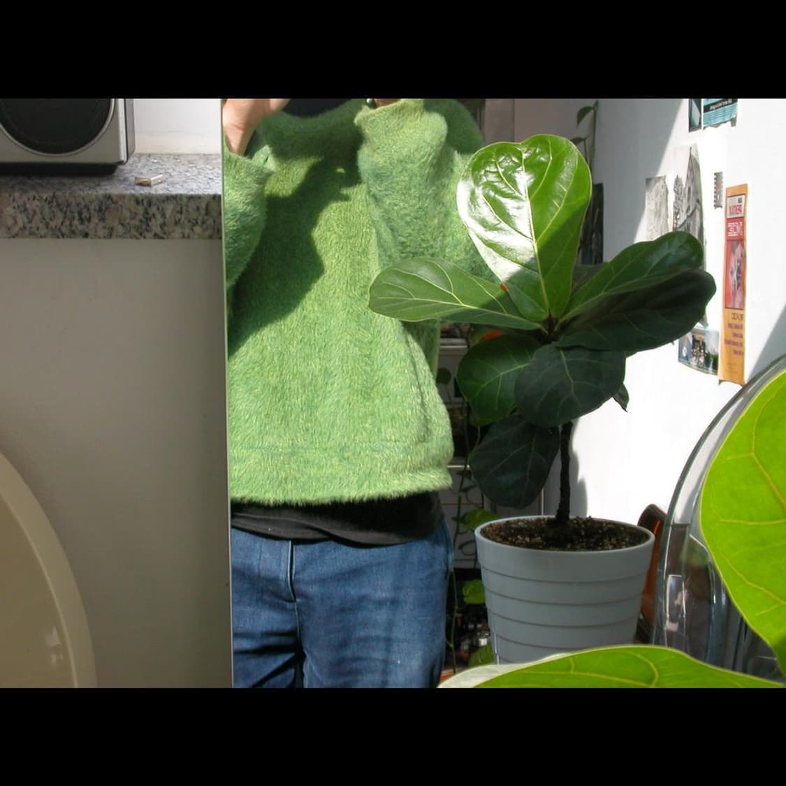 작례⭕️ 니콘 쿨픽스 2500 메탈릭 실버블루⌚황조지 카메라 상품이미지2