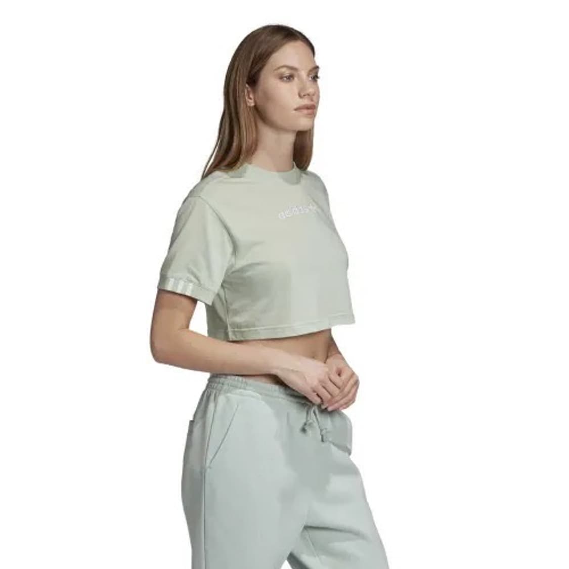 아디다스 오리지널 크롭 반팔티 XS 상품이미지4