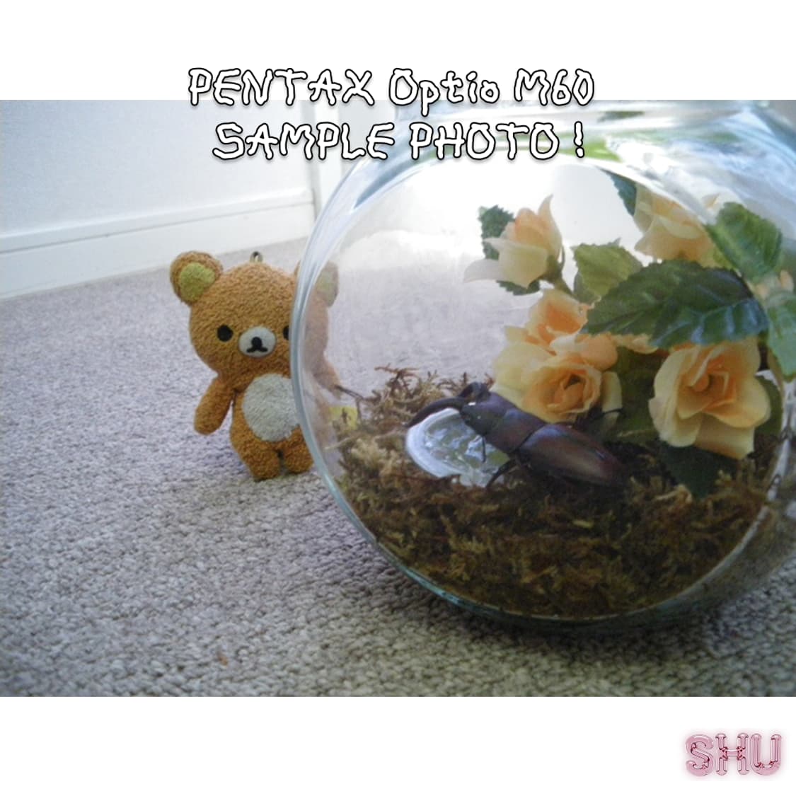 펜탁스 옵티오 M60 빈티지 디카 디지털카메라 핑크  상품이미지6