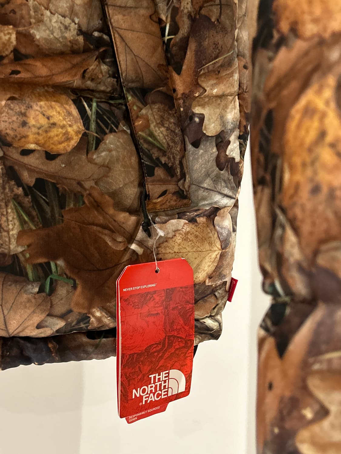 Supreme x The North Face Nuptse 상품이미지4