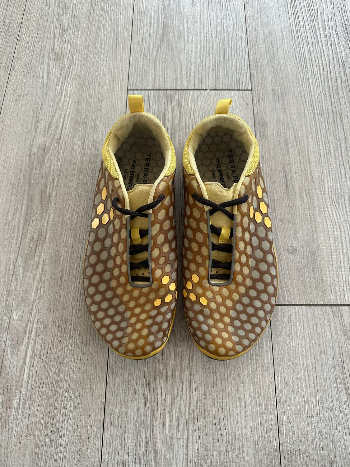 Vivobarefoot Evo II by Terra Plana 상품이미지1