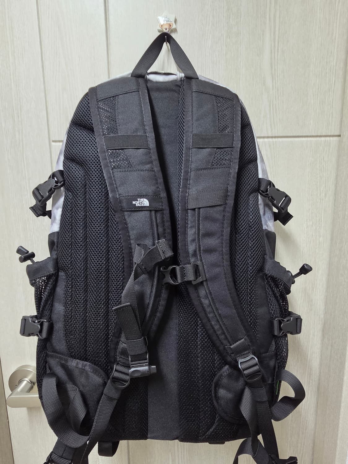 노스페이스 BIG SHOT NM2DP00C 상품이미지2