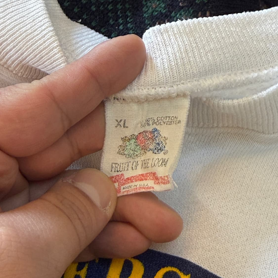 후르츠오브더룸  미국빈티지 USA 나그랑 미시건 스웻셔츠 XL 상품이미지3