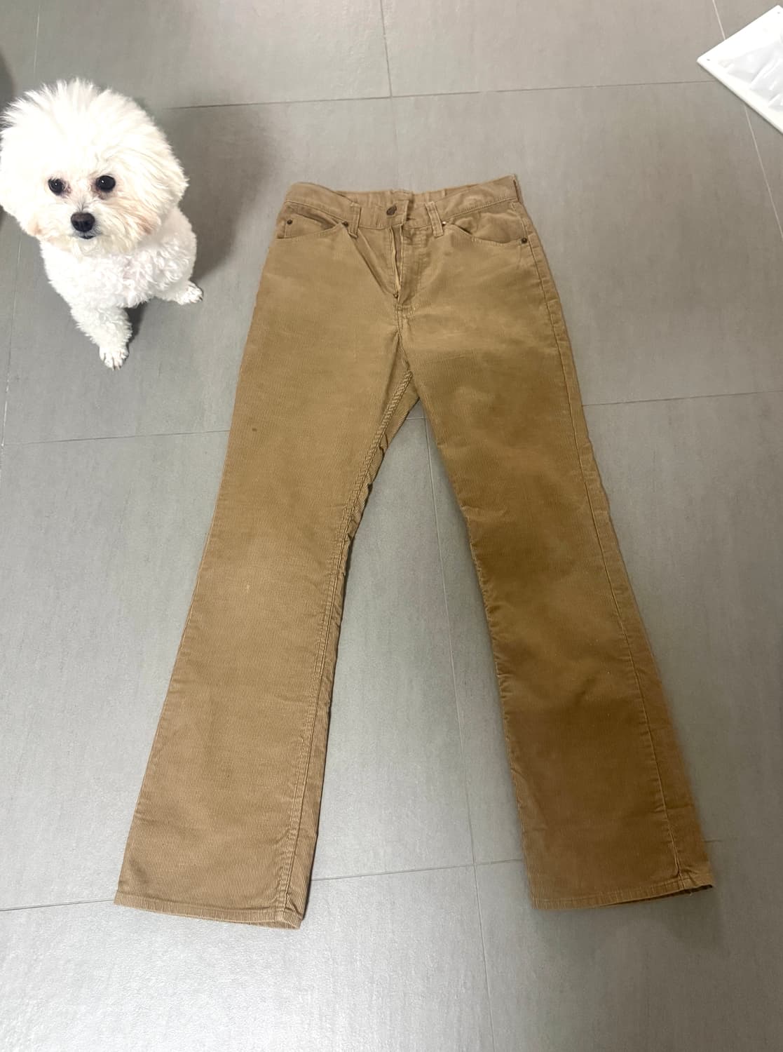 리바이스 517 코듀로이 부츠컷 팬츠  상품이미지1