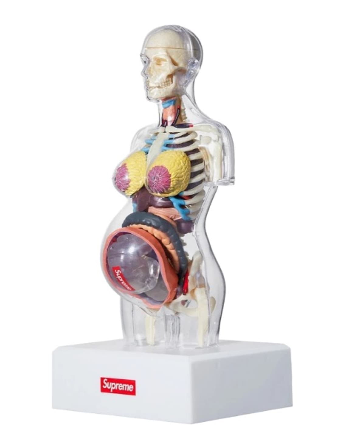 슈프림 피메일 아나토미 모델 클리어 - 18FW  상품이미지1