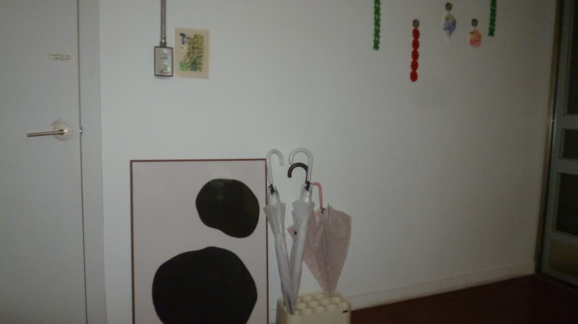 파나소닉 루믹스 dmc-fx77 상품이미지6