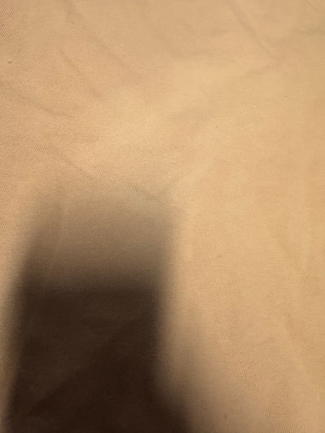 정품 라코스테 로고 트레이닝 맨투맨 L 베이지 상품이미지5