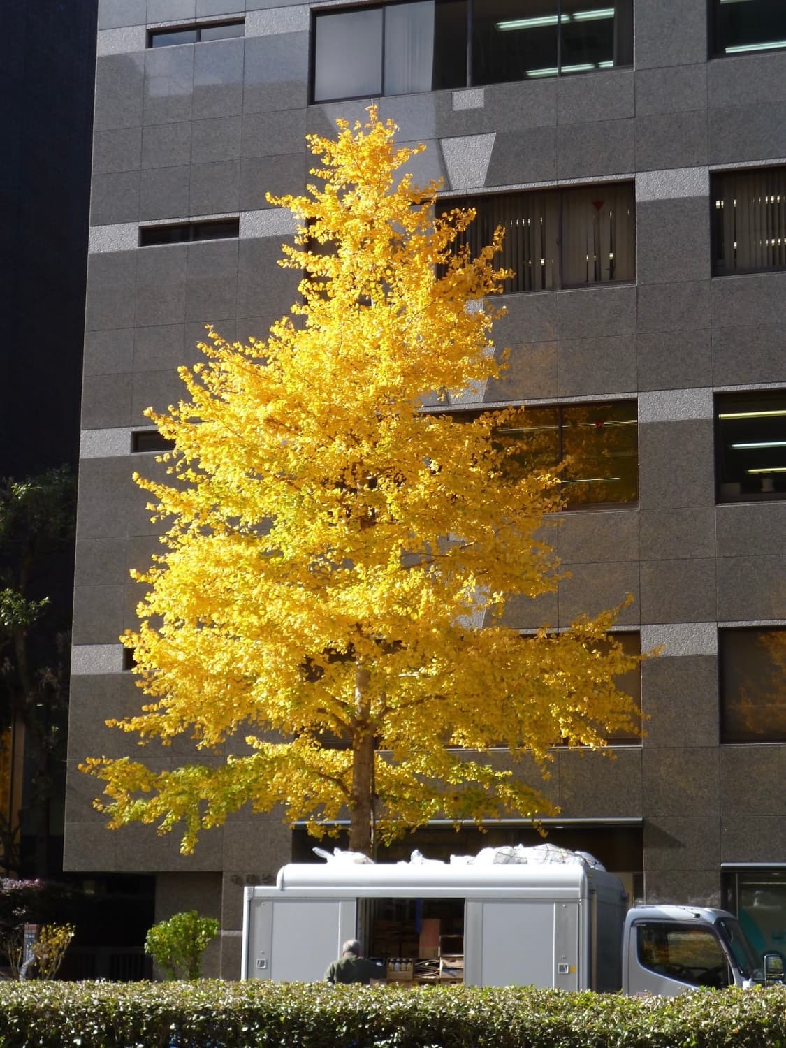 (몽환감성🫧) 파나소닉 루믹스 DMC-S2 | Lumix DMC-S2 상품이미지6