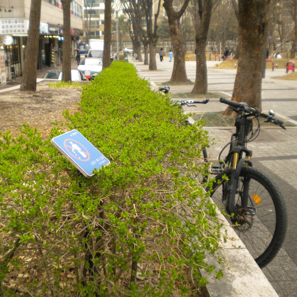 니콘 쿨픽스S203(작례○) 상품이미지8