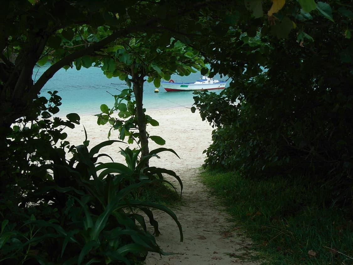 (한국어지원✨) 리코 Ricoh Caplio R5 디카 디지털카메라 상품이미지7