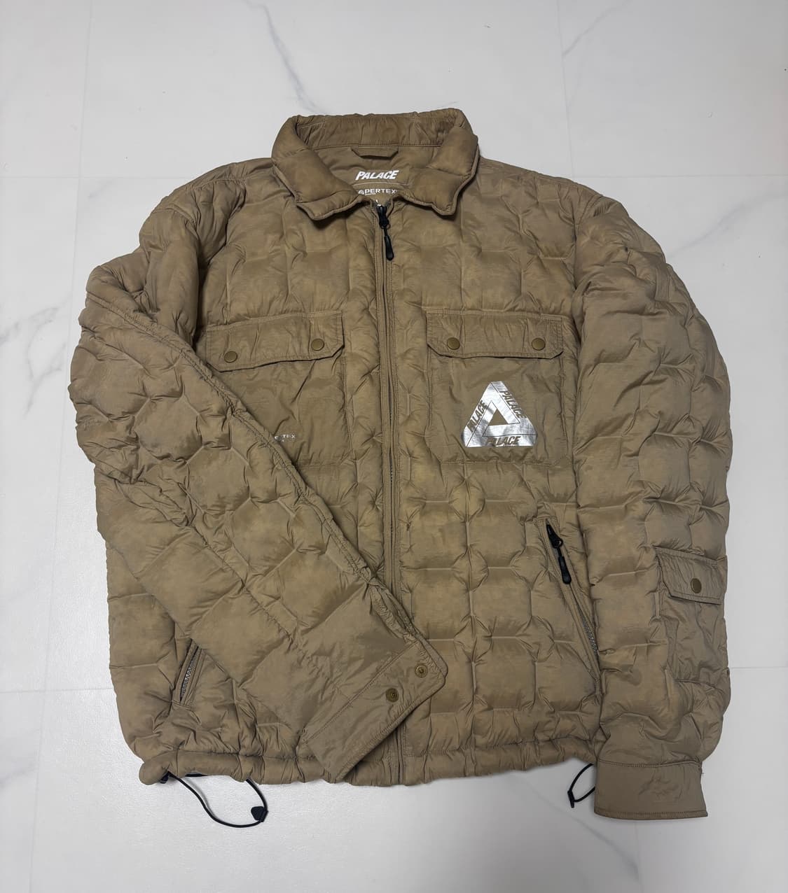 palace 22fw 퍼텍스 워크 다운 상품이미지1