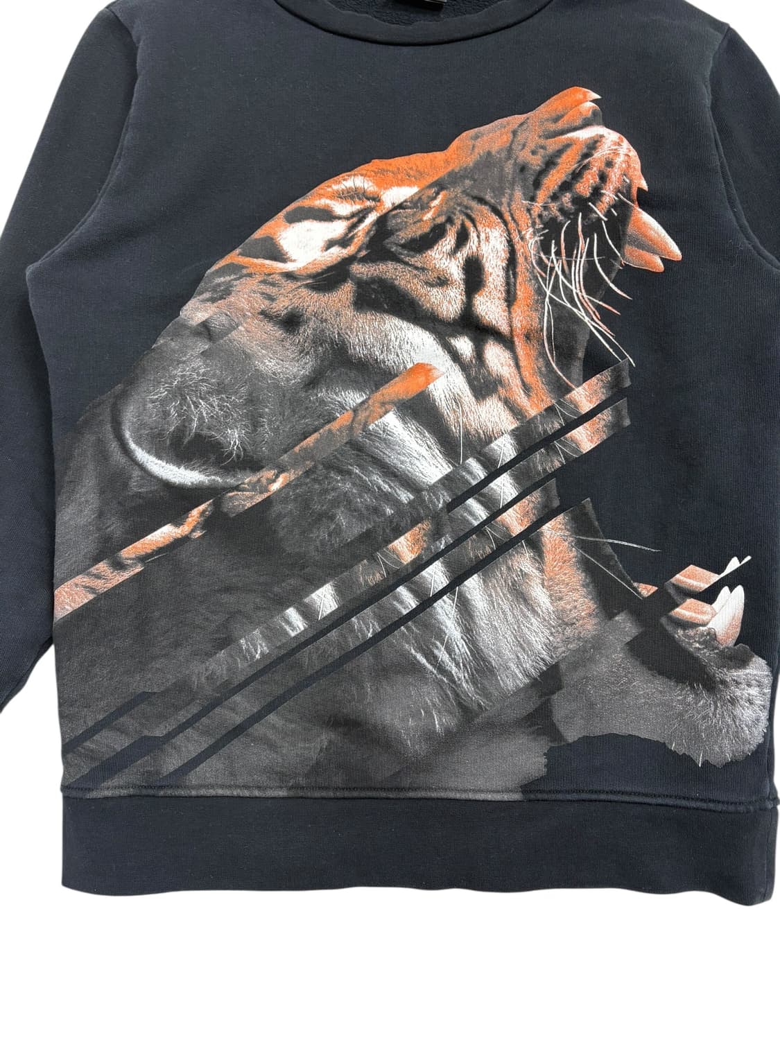 마르셀로 불론 호랑이 맨투맨 상품이미지5