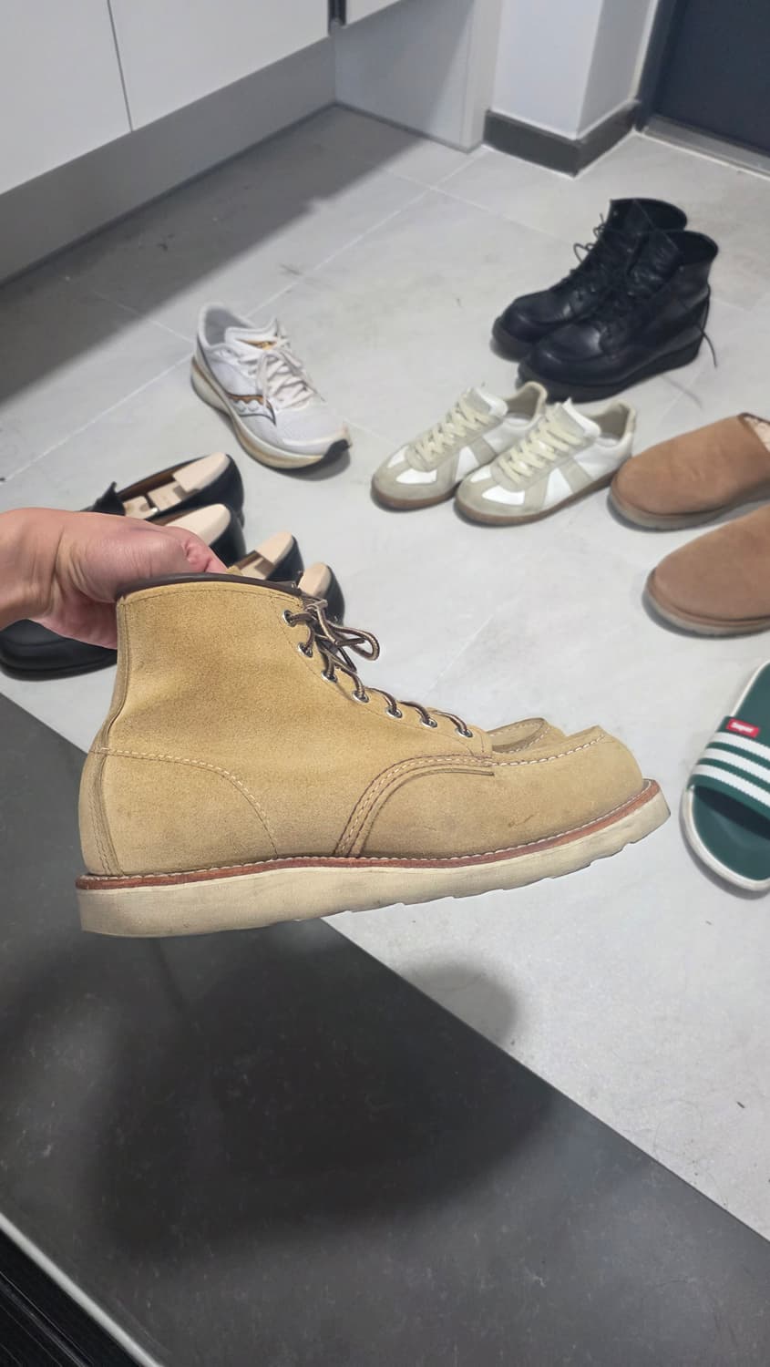 9D 사이즈 레드윙 8833 판매합니다
 상품이미지8