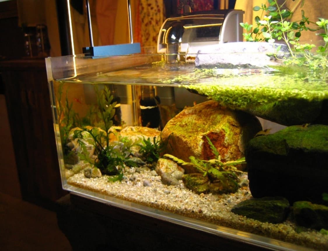 캐논익서스40 익시50 상품이미지7