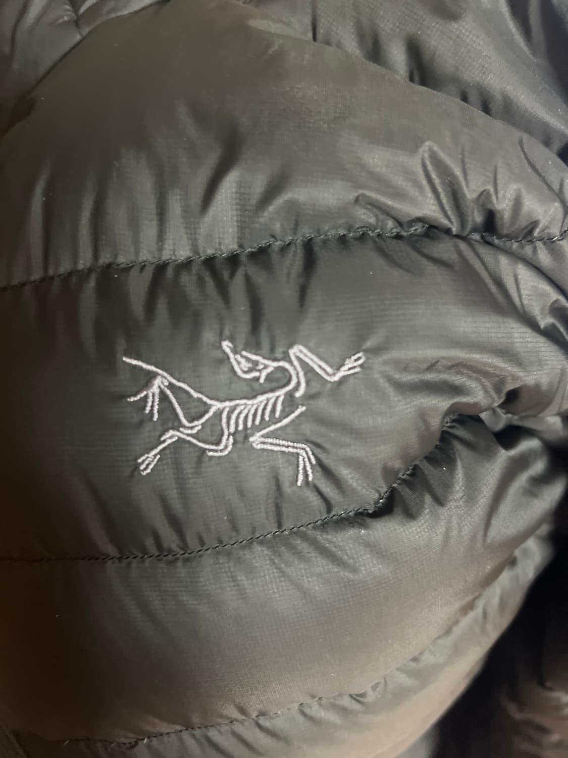 아크테릭스 세륨 후디 블랙 상품이미지3