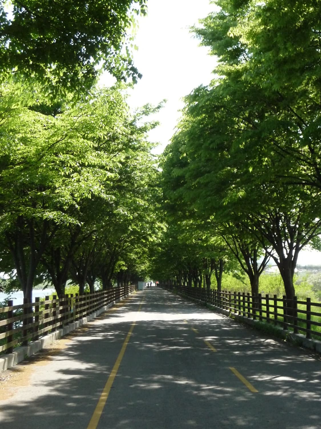 상태굿! 파나소닉 루믹스 DMC-TZ5 빈티지 디카 상품이미지10