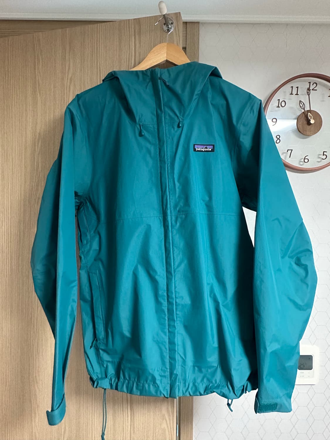 파타고니아 토렌쉘 보레알리스 그린(L) 상품이미지1