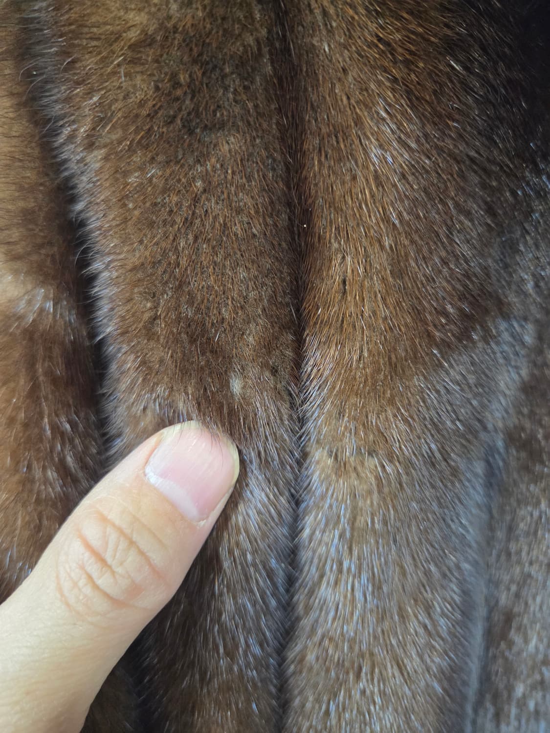 우단 모피 코트 77 상품이미지6