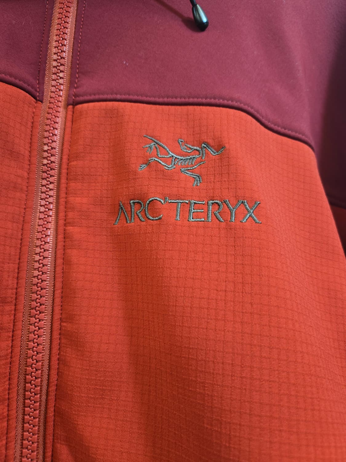 아크테릭스 시그마 SV 레드 후드 소프트쉘 자켓 상품이미지3