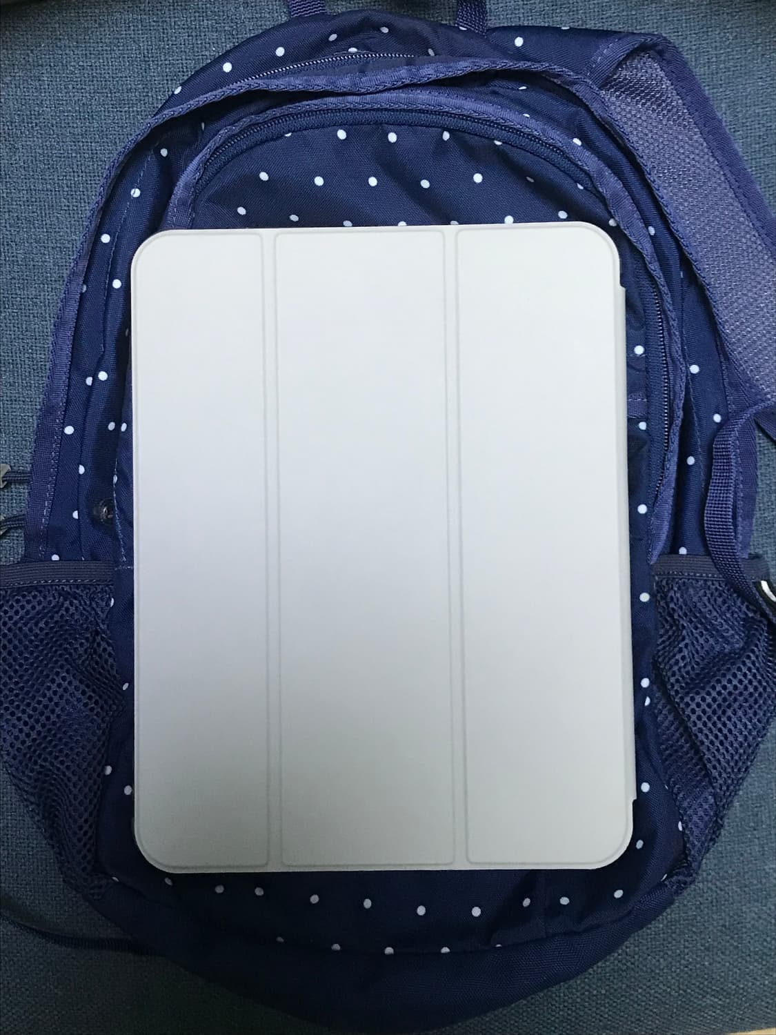 Coleman 콜맨 도트 백팩 네이비 파랑 상품이미지3