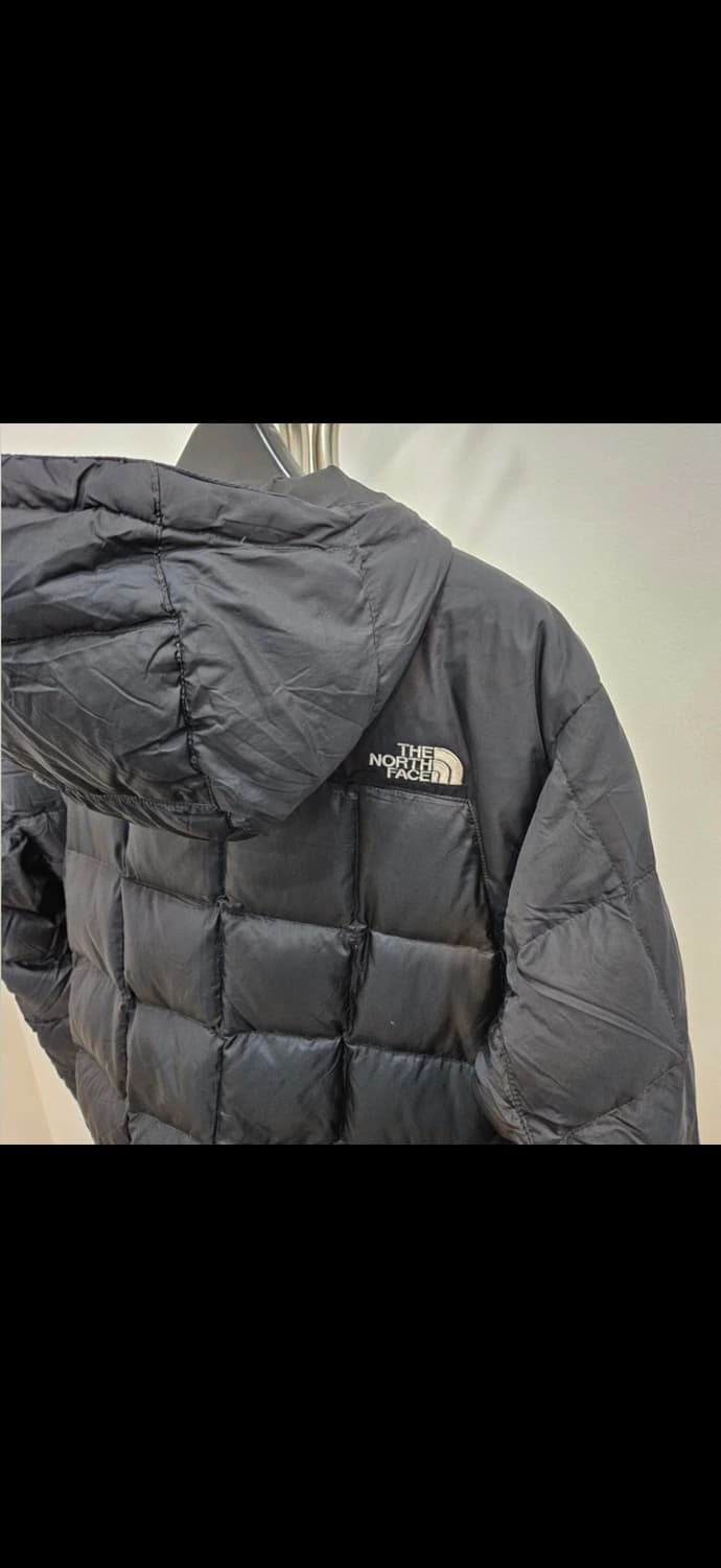 노스페이스 해외판 써밋시리즈 패딩 상품이미지3