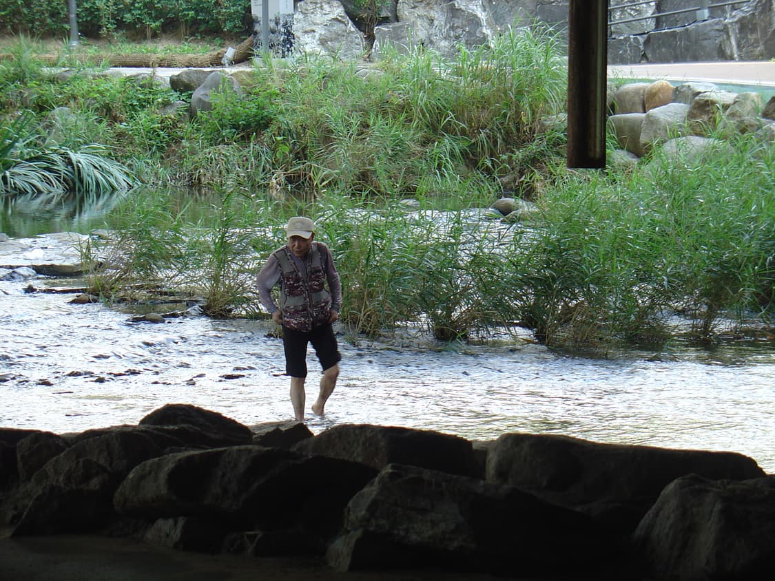 소니Sony dsc-v1 상품이미지6