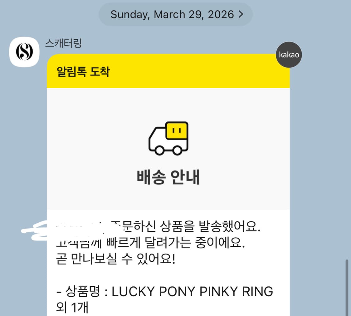 Horse ring Set 2개 scattering 스캐터링 반지 상품이미지4