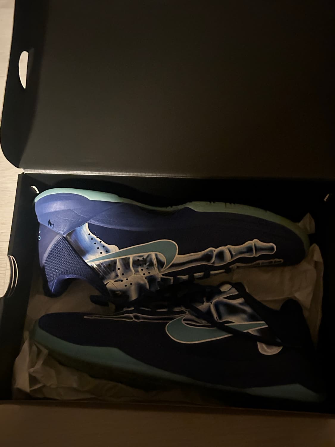 코비 5 프로트로 x-ray 판매 (275) 상품이미지1