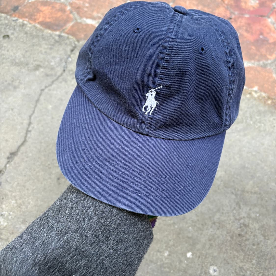 Polo 폴로 볼캡 모자 상품이미지2