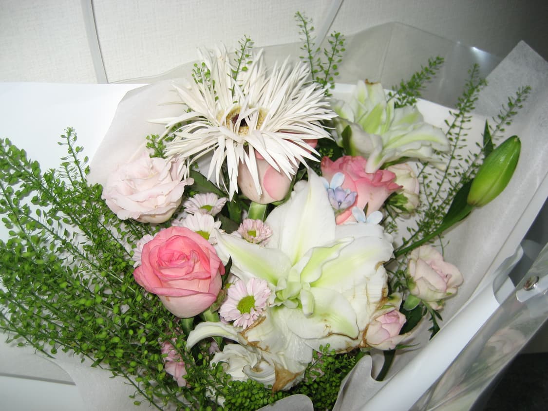 캐논 익서스 IXUS 60  상품이미지6