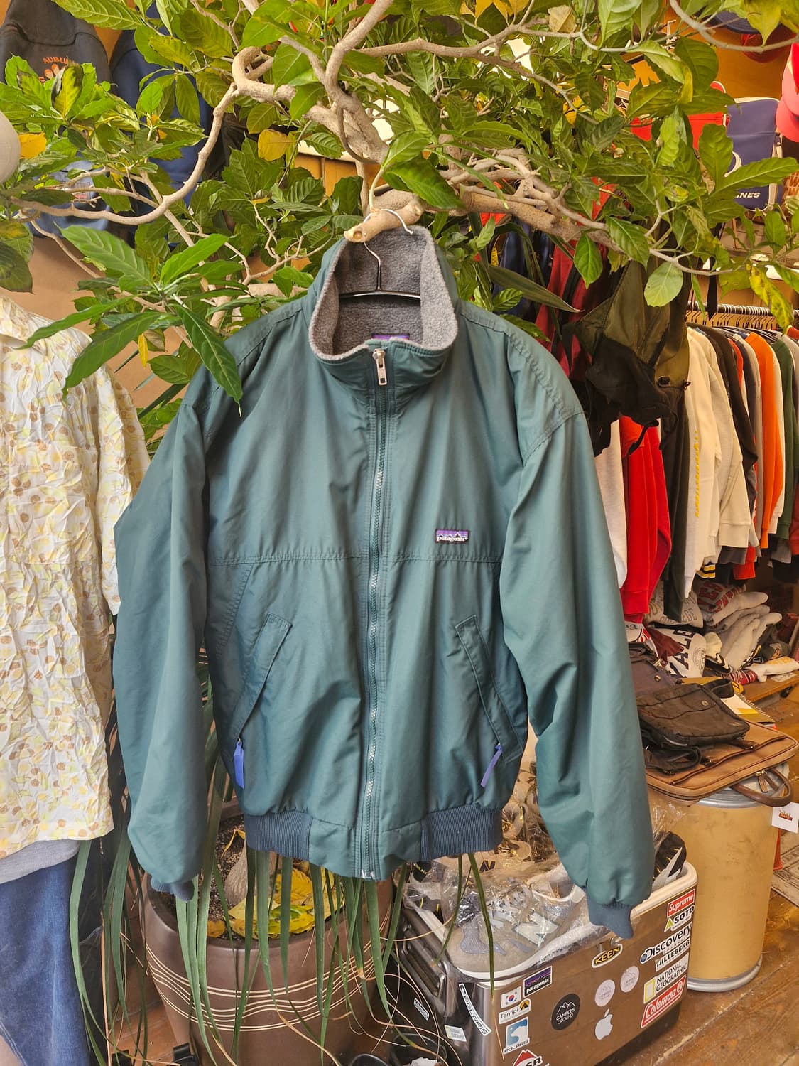 Z-278 파타고니아 쉘드 신칠라 봄버 웜업 자켓  상품이미지1