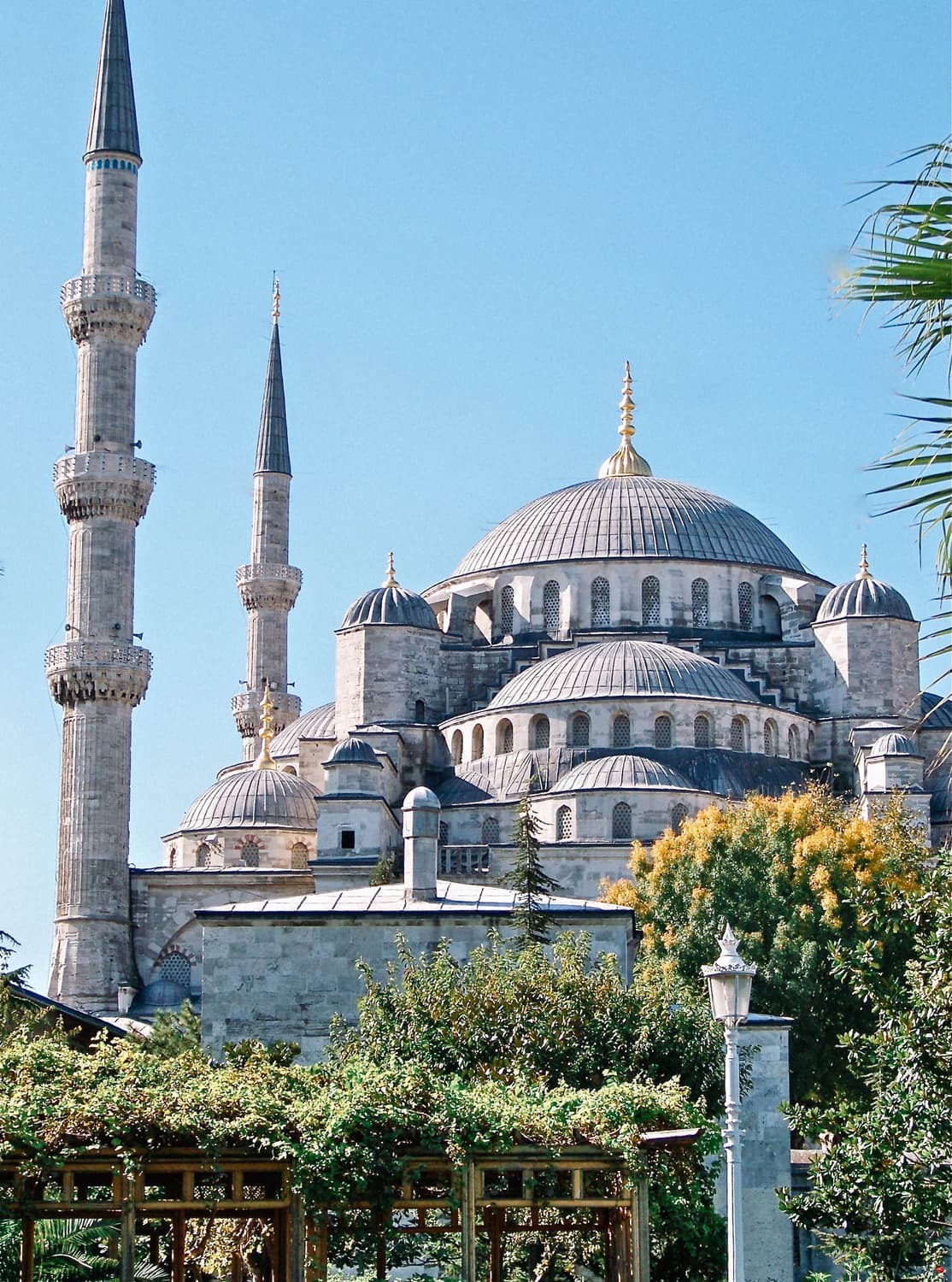 Canon Powershot A590 IS (캐논 파워샷 A590 IS) 상품이미지10