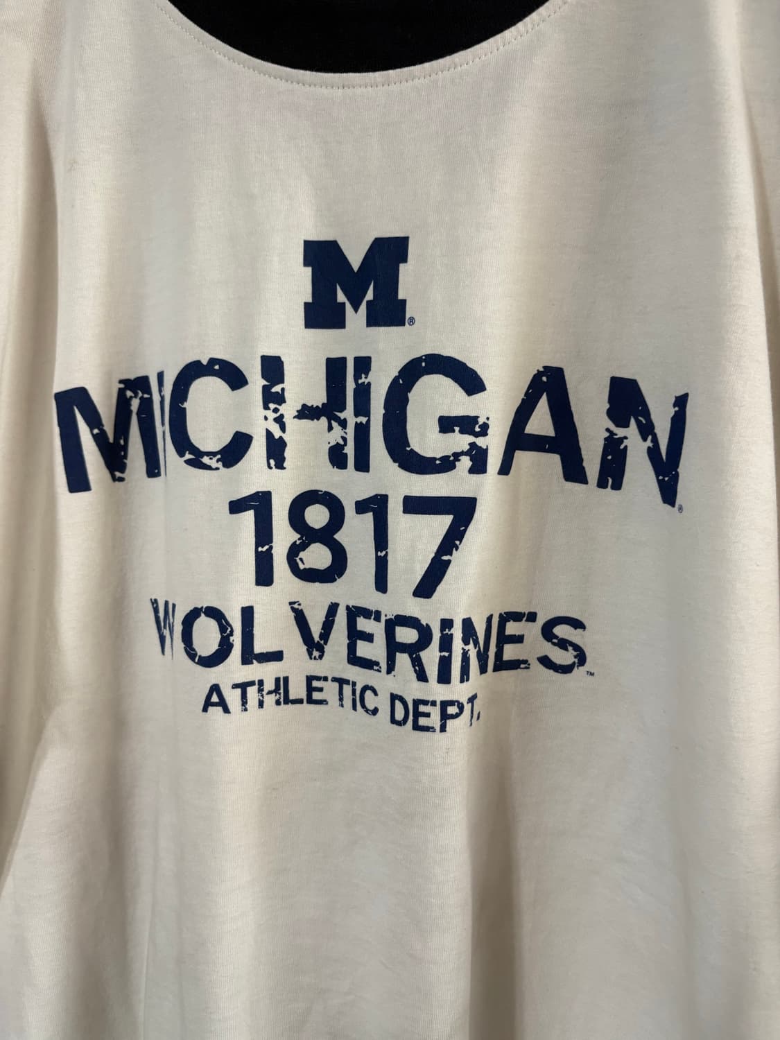 00‘s Michigan 1817 Wolverines Ringer Tee 상품이미지3