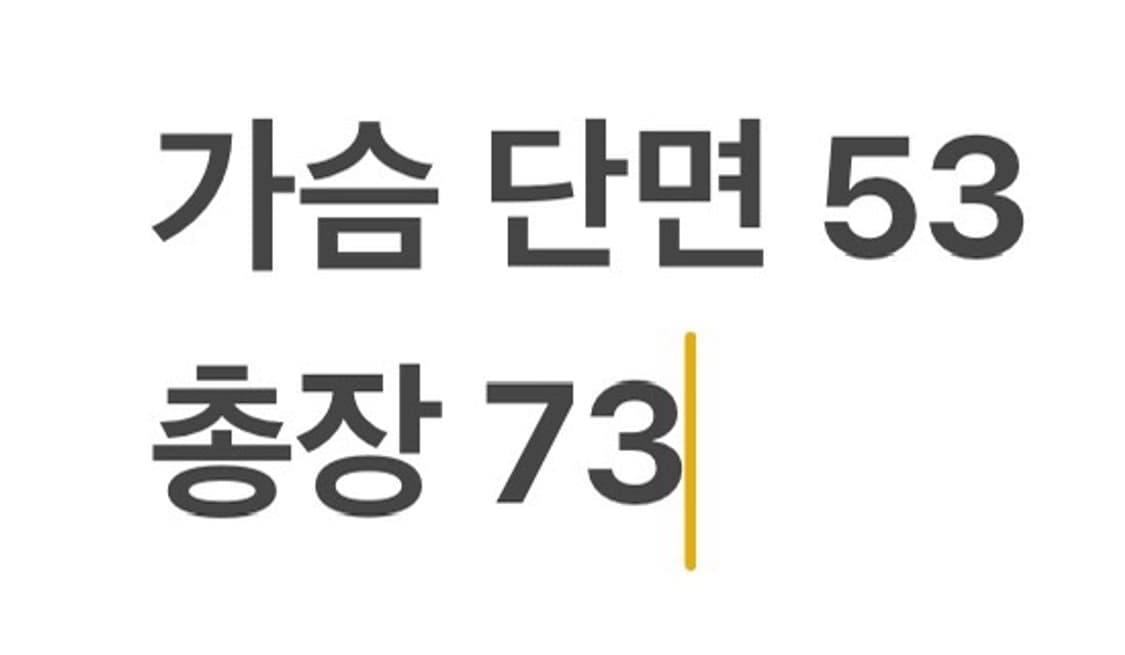 [정품/L] 폴로 랄프로렌 깅엄체크 긴팔 셔츠 b8 상품이미지7