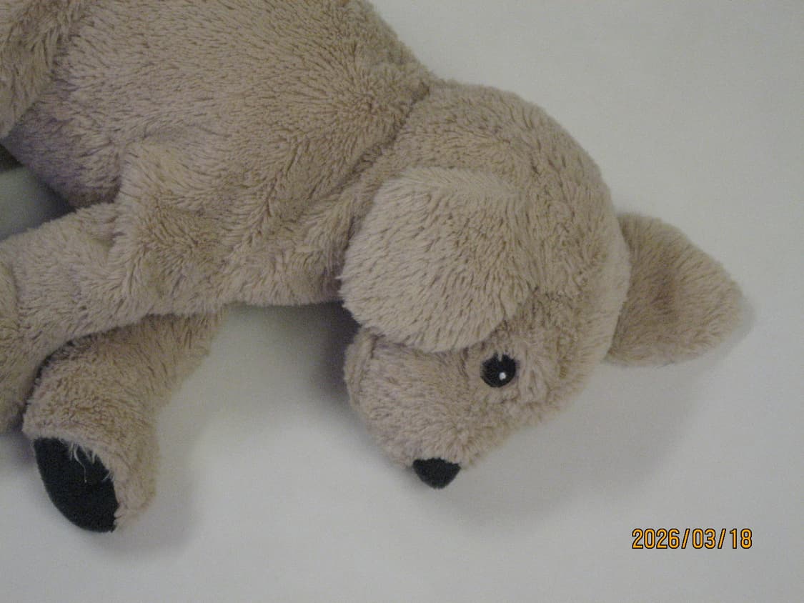 캐논 익시 Canon ixy 800 (작례O) 상품이미지6