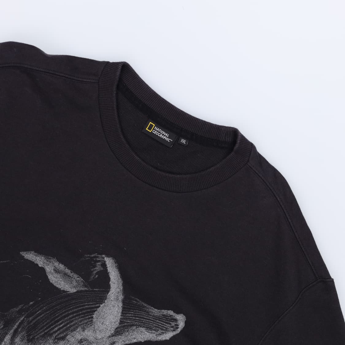 [110] 내셔널지오그래픽 코어티 고래 맨투맨 티셔츠 N6872 상품이미지4