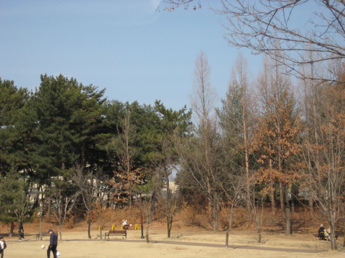 산요 작티 cg11 상품이미지7