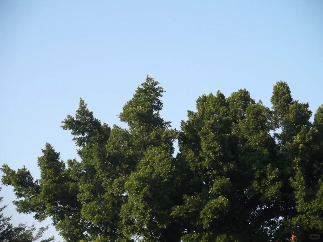 후지필름 파인픽스 JX280 상품이미지9