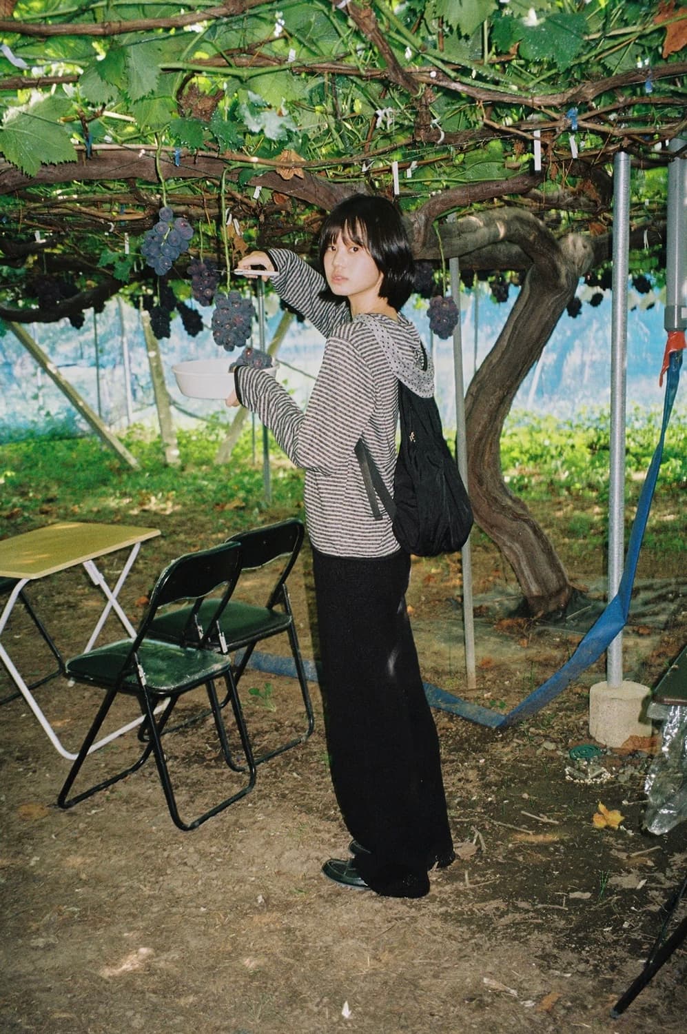 페스토 도트 스트라이프 후디 상품이미지3