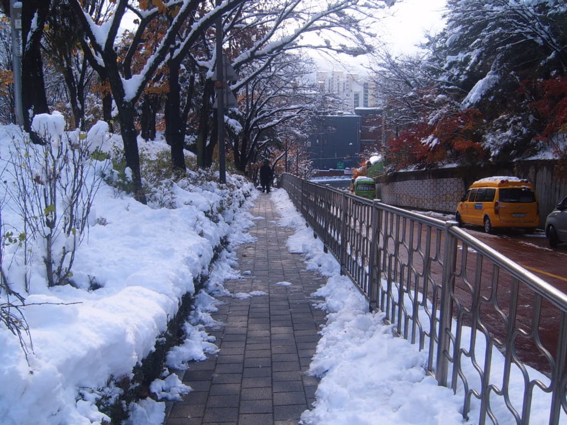 삼성 케녹스 d7 디카 (빈티지 카메라) 상품이미지8