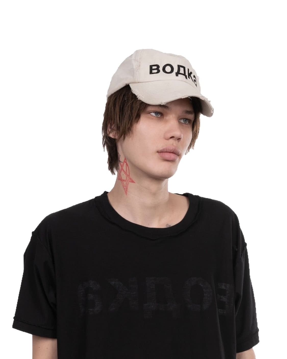 Alexander digenova водка cap 상품이미지2