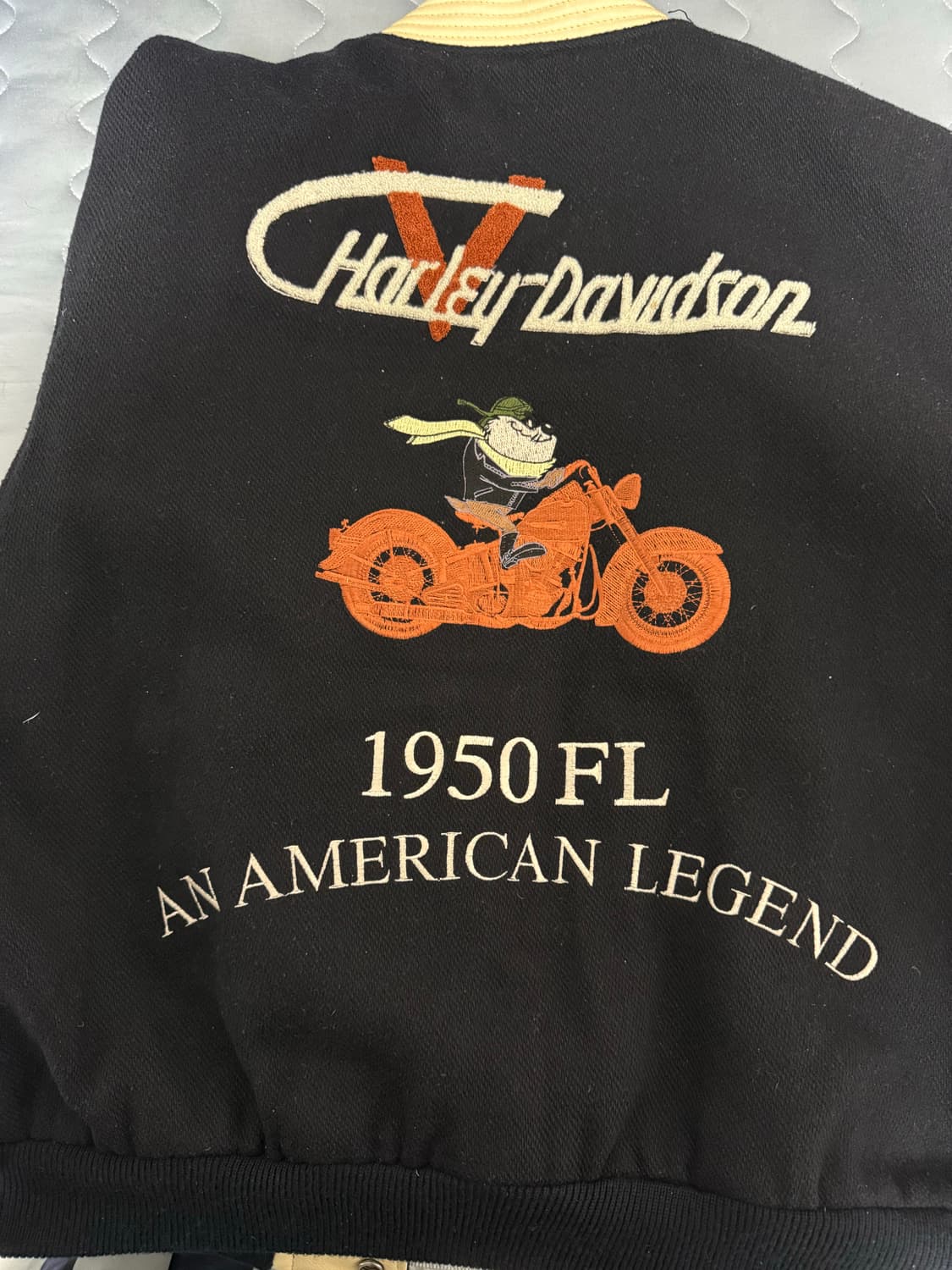 할리&워너브라더스 콜라보 바시티자켓 상품이미지4