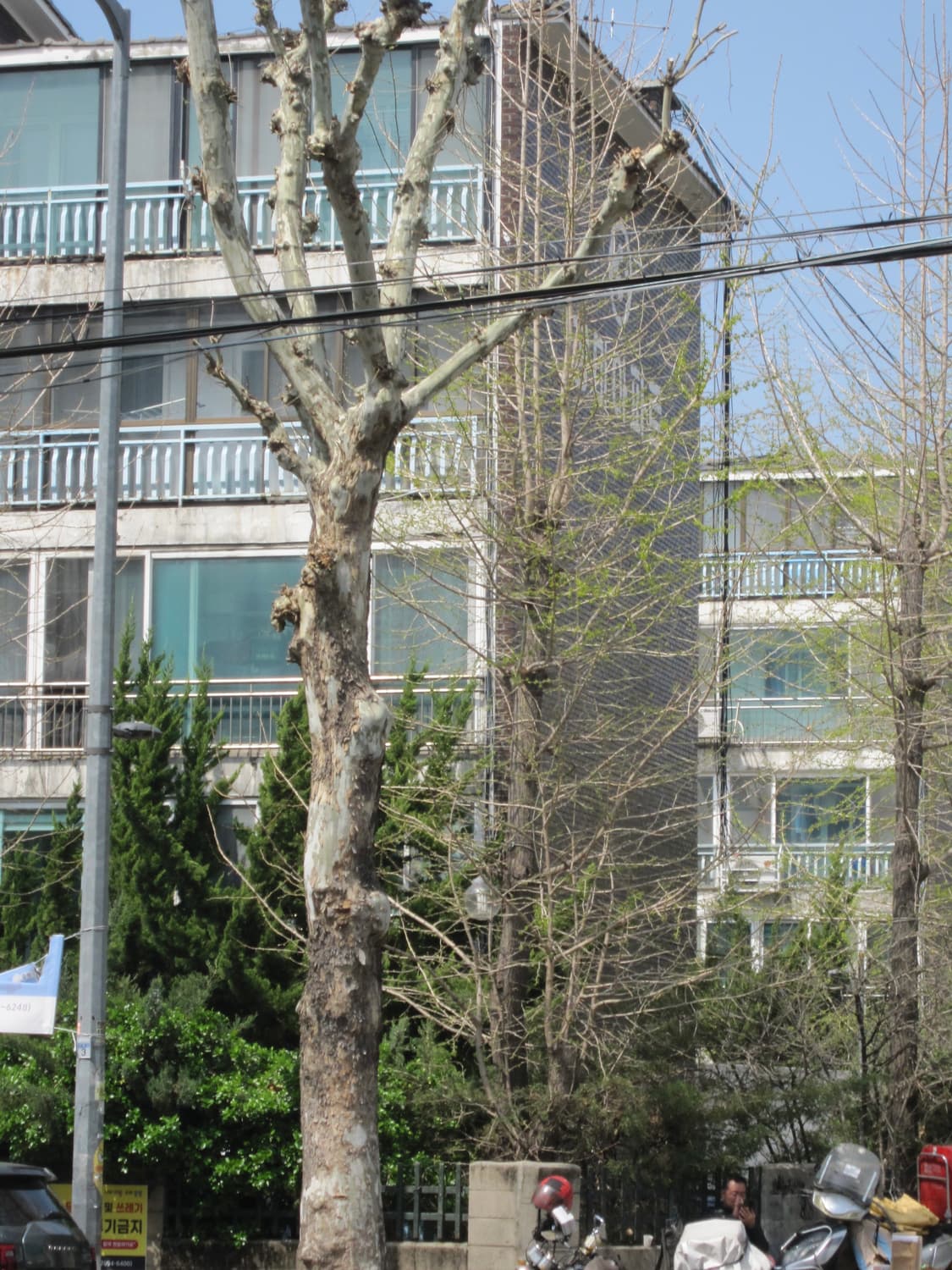 [민트급] 캐논 익서스 200is 희귀매물 핑크 작례포함 상품이미지8