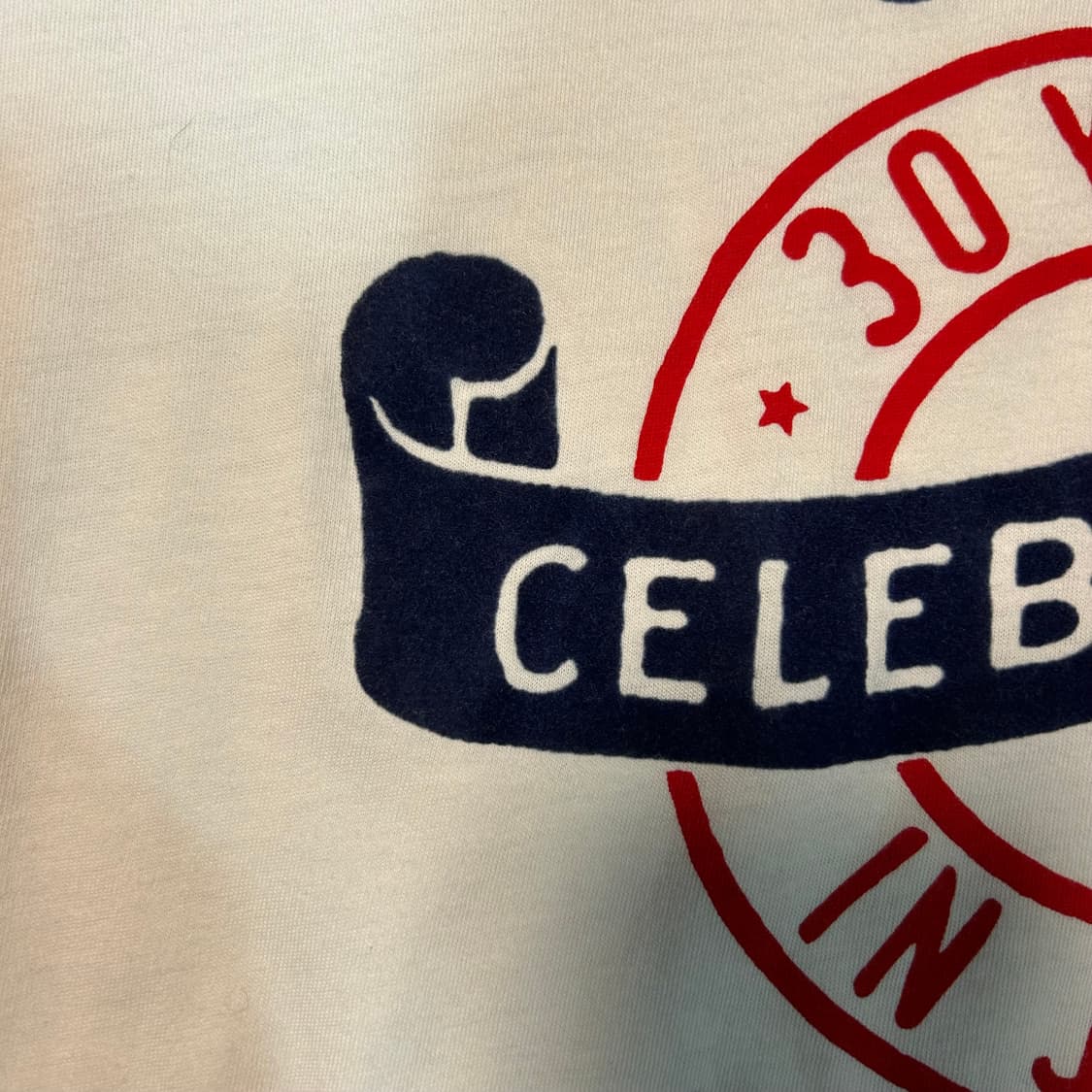 [L] 디젤  아카이브 30th Anniversary 일본 한정판 반팔티 상품이미지3